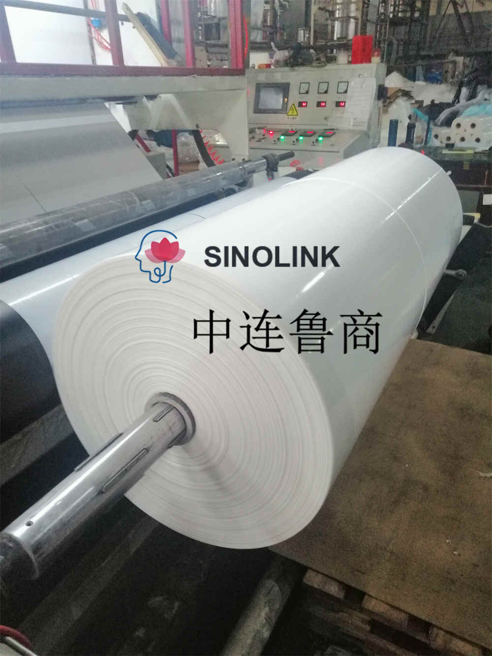 PE 상단 필름 하단 필름