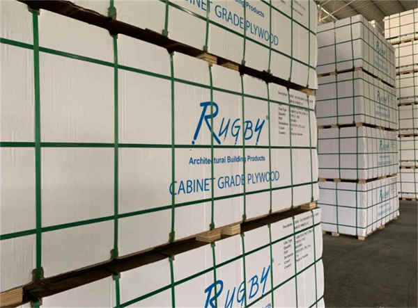 뜨거운 판매 플라스틱 투명 PP 포장 스트랩 Hot Sales Plastic Clear PP Packaging Strap