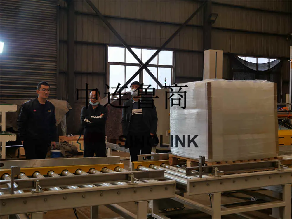 Client‘s Engineer is Examing Machine